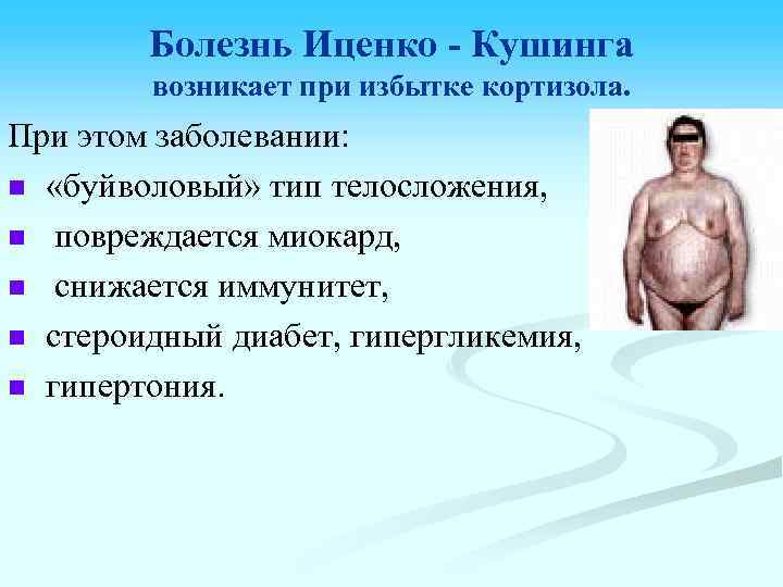 Болезнь Иценко - Кушинга возникает при избытке кортизола. При этом заболевании: n «буйволовый» тип