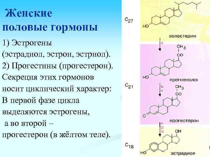 Женские половые гормоны 1) Эстрогены (эстрадиол, эстрон, эстриол). 2) Прогестины (прогестерон). Секреция этих гормонов