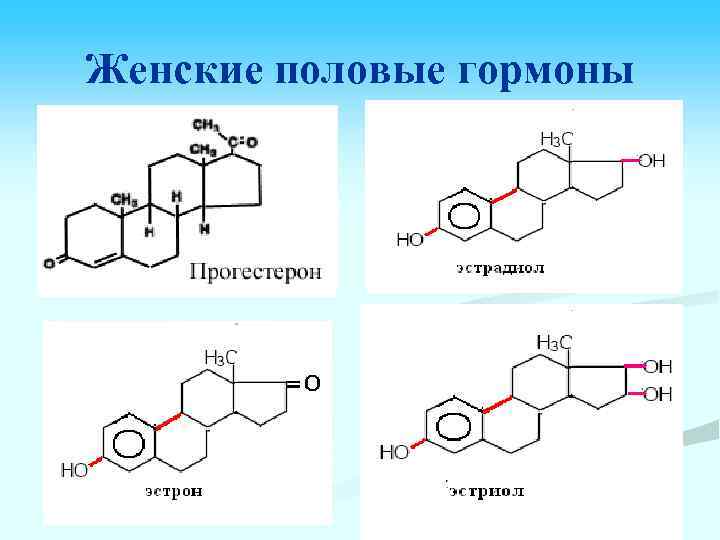 Женские половые гормоны 
