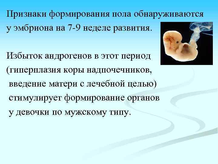 Признаки формирования пола обнаруживаются у эмбриона на 7 -9 неделе развития. Избыток андрогенов в