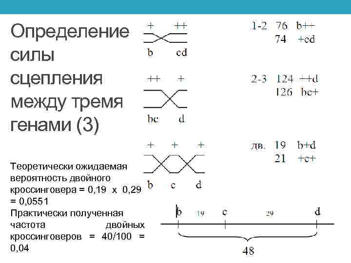 Между генами. Как определить силу сцепления между генами. Частота двойного кроссинговера. Частота кроссинговера формула. Вероятность кроссинговера формула.