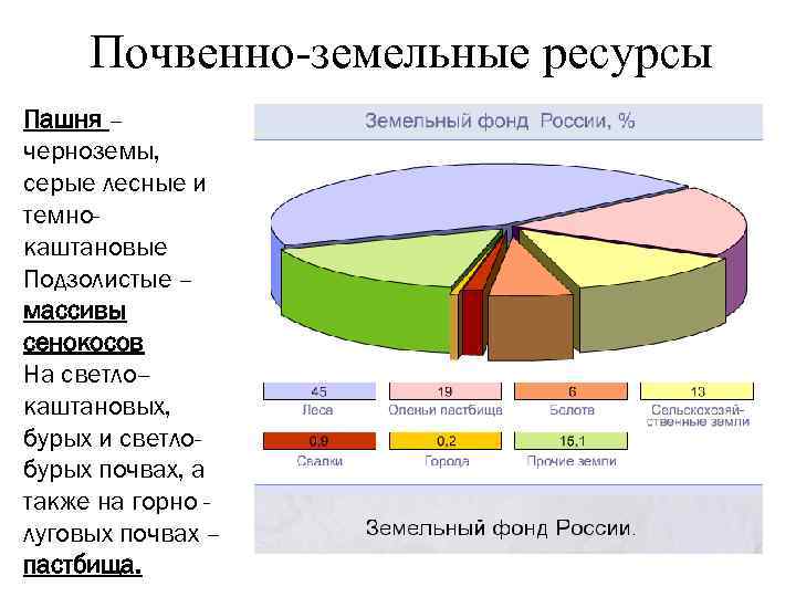 Почвенно-земельные ресурсы Пашня – черноземы, серые лесные и темнокаштановые Подзолистые – массивы сенокосов На