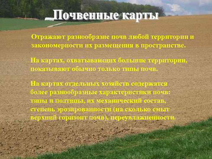 Отражают разнообразие почв любой территории и закономерности их размещения в пространстве. На картах, охватывающих