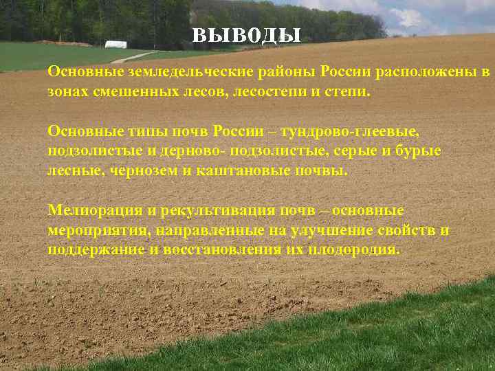 выводы Основные земледельческие районы России расположены в зонах смешенных лесов, лесостепи и степи. Основные