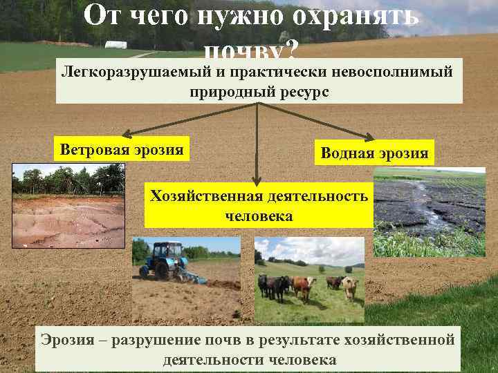 От чего нужно охранять почву? Легкоразрушаемый и практически невосполнимый природный ресурс Ветровая эрозия Водная