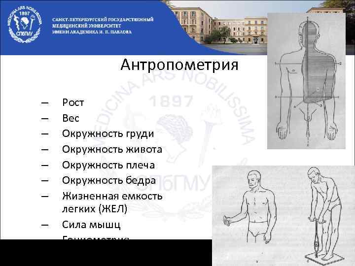Антропометрия – – – – – Рост Вес Окружность груди Окружность живота Окружность плеча