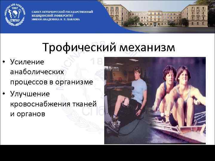 Трофический механизм • Усиление анаболических процессов в организме • Улучшение кровоснабжения тканей и органов