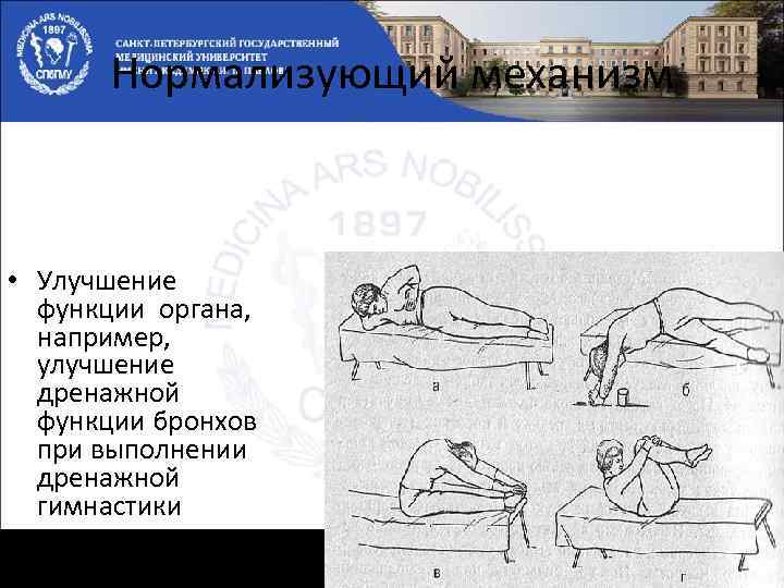 Нормализующий механизм • Улучшение функции органа, например, улучшение дренажной функции бронхов при выполнении дренажной