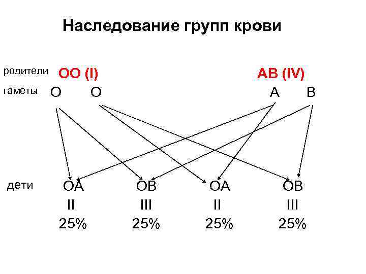 Наследование групп крови родители гаметы дети ОO (I) О O ОA II 25% AВ