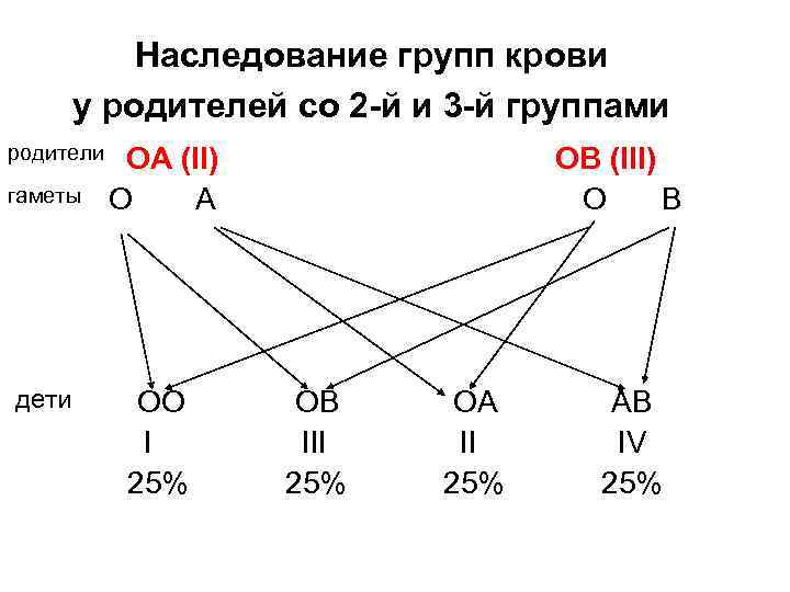 Схема наследования крови