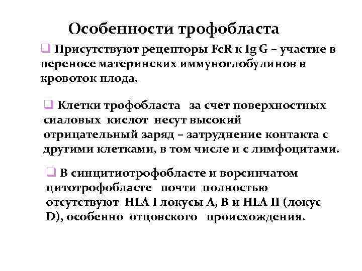 Особенности трофобласта Присутствуют рецепторы Fc. R к Ig G – участие в переносе материнских