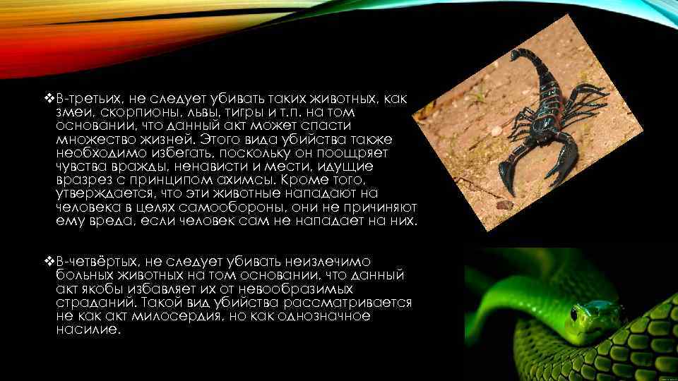 v. В-третьих, не следует убивать таких животных, как змеи, скорпионы, львы, тигры и т.