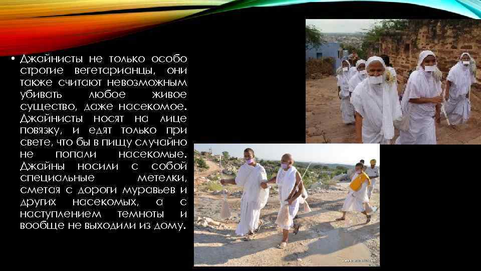  • Джайнисты не только особо строгие вегетарианцы, они также считают невозможным убивать любое