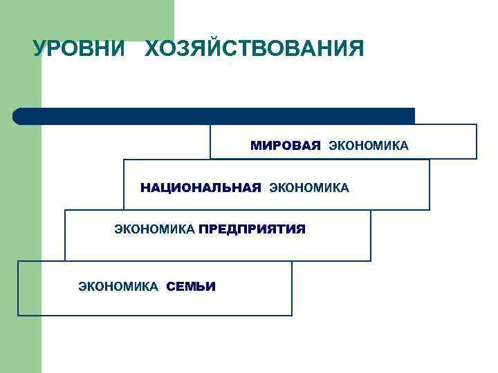 УРОВНИ ХОЗЯЙСТВОВАНИЯ МИРОВАЯ ЭКОНОМИКА НАЦИОНАЛЬНАЯ ЭКОНОМИКА ПРЕДПРИЯТИЯ ЭКОНОМИКА СЕМЬИ 