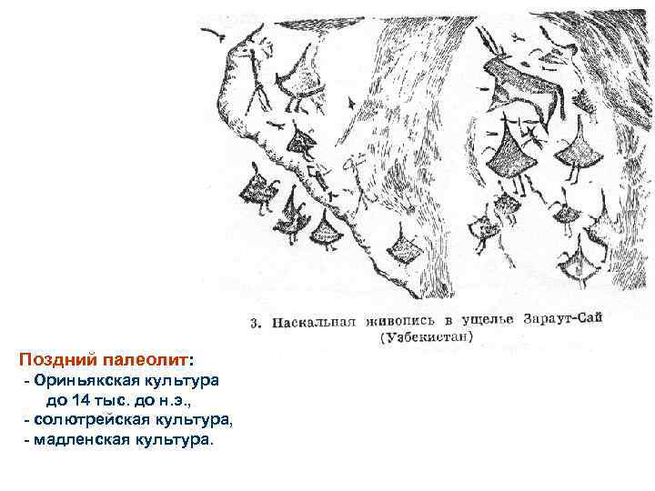 Поздний палеолит: - Ориньякская культура до 14 тыс. до н. э. , - солютрейская