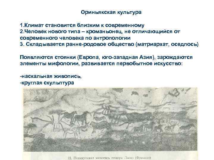 Ориньякская культура 1. Климат становится близким к современному 2. Человек нового типа – кроманьонец,