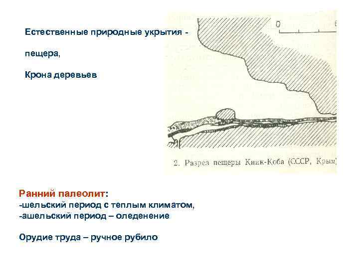 Естественные природные укрытия пещера, Крона деревьев Ранний палеолит: -шельский период с теплым климатом, -ашельский