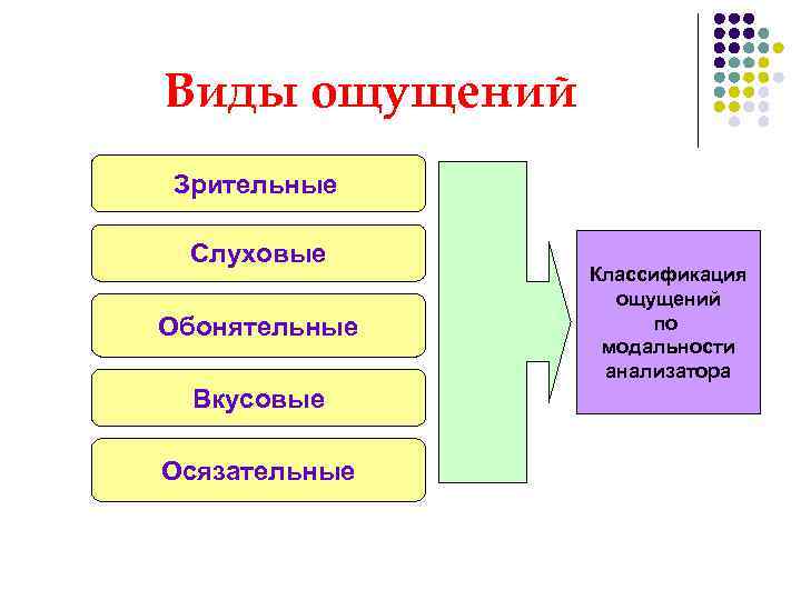 Система ощущений