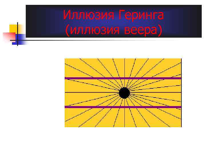Иллюзия Геринга (иллюзия веера) 