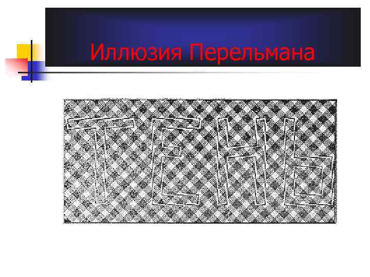 Иллюзия Перельмана 