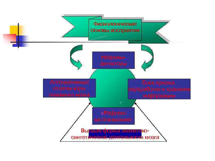 Физиологические основы восприятия Нейроныдетекторы Ассоциативные отделы коры головного мозга Блок приема, переработки и хранения