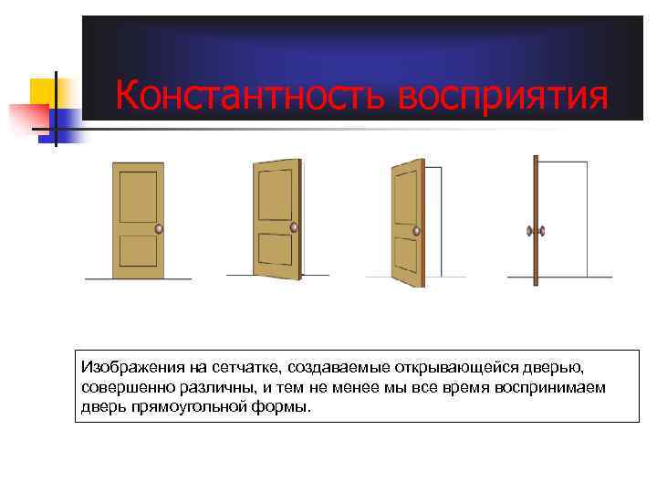 Константность восприятия Изображения на сетчатке, создаваемые открывающейся дверью, совершенно различны, и тем не менее