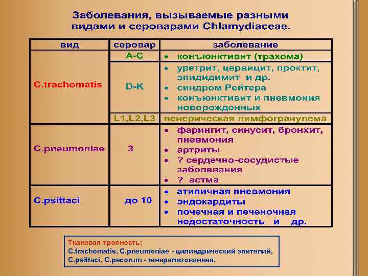 Тканевая тропность: C. trachomatis, C. pneumoniae - цилиндрический эпителий, С. psittaci, C. pecorum -