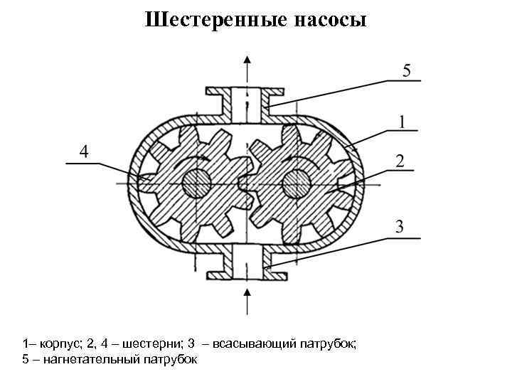 Шестеренные насосы 1– корпус; 2, 4 – шестерни; 3 – всасывающий патрубок; 5 –
