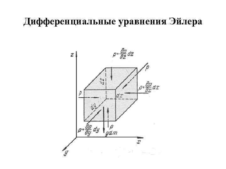 Дифференциальные уравнения Эйлера 