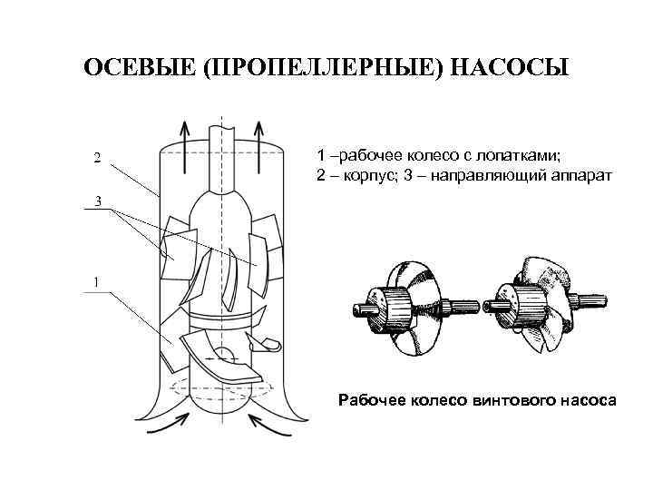 ОСЕВЫЕ (ПРОПЕЛЛЕРНЫЕ) НАСОСЫ 1 –рабочее колесо с лопатками; 2 – корпус; 3 – направляющий
