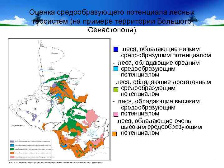 Оценка средообразующего потенциала лесных геосистем (на примере территории Большого Севастополя) леса, обладающие низким средообразущим