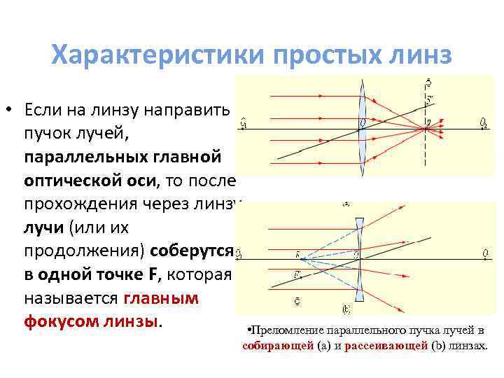 Линзой называется. Сходящийся пучок лучей. Если на линзу направить пучок. Параллельные лучи пройдя сквозь собирающую линзу. Луч параллельный главной оптической оси.