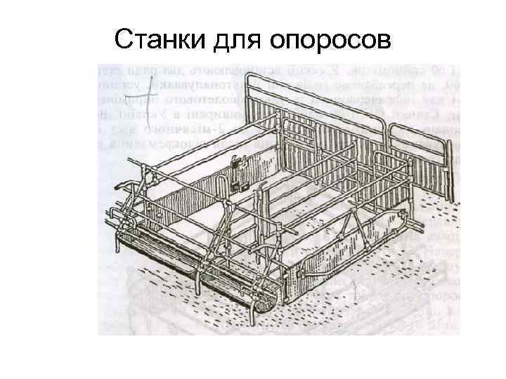 Станки для опоросов 