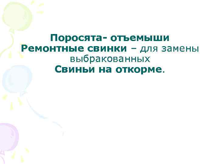 Поросята- отъемыши Ремонтные свинки – для замены выбракованных Свиньи на откорме. 