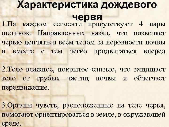 Характеристика дождевого червя 1. На каждом сегменте присутствуют 4 пары щетинок. Направленных назад, что