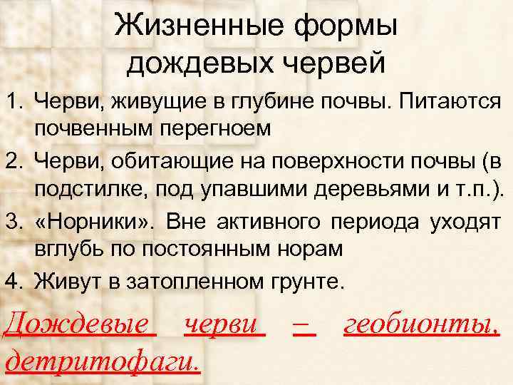 Жизненные формы дождевых червей 1. Черви, живущие в глубине почвы. Питаются почвенным перегноем 2.