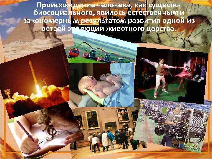 Происхождение человека, как существа биосоциального, явилось естественным и закономерным результатом развития одной из ветвей