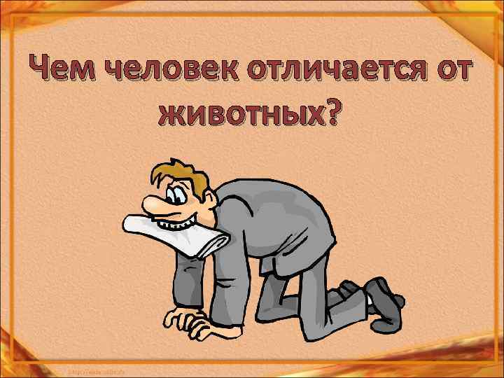 Чем человек отличается от животных? 