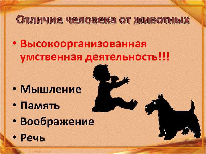 Отличие человека от животных • Высокоорганизованная умственная деятельность!!! • Мышление • Память • Воображение