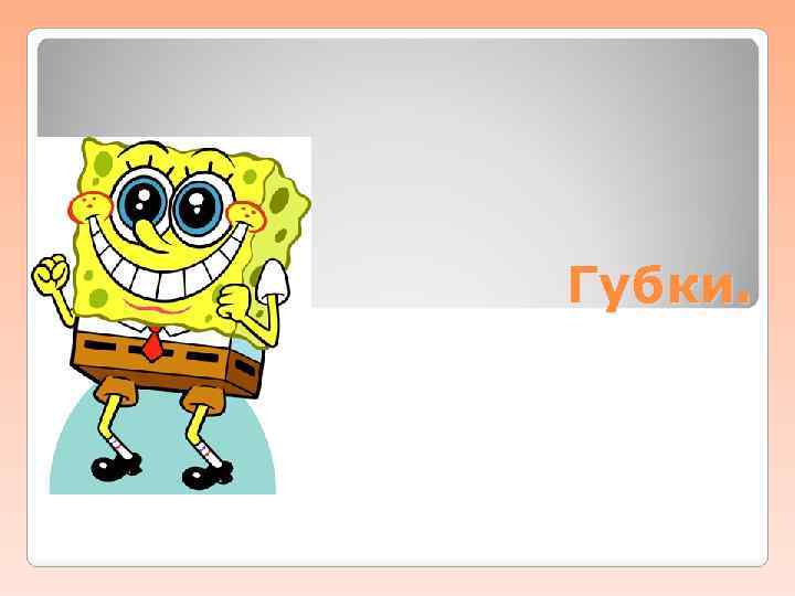 Губки. 