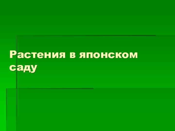 Растения в японском саду 