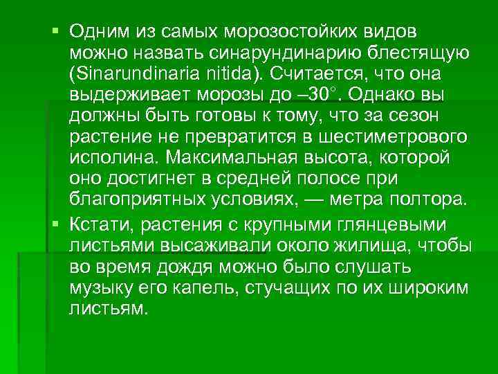 § Одним из самых морозостойких видов можно назвать синарундинарию блестящую (Sinarundinaria nitida). Считается, что