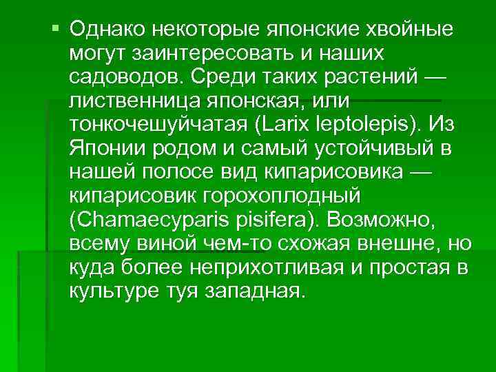 § Однако некоторые японские хвойные могут заинтересовать и наших садоводов. Среди таких растений —