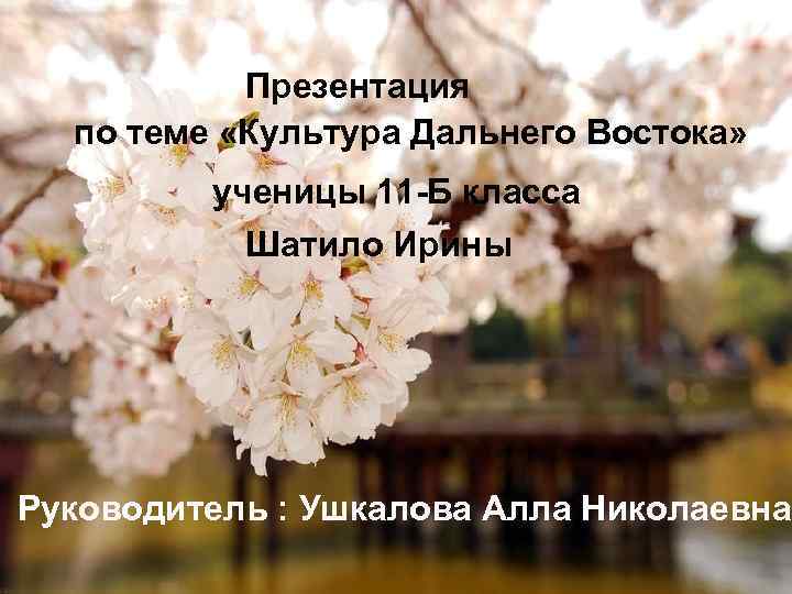 Презентация по теме «Культура Дальнего Востока» ученицы 11 -Б класса Шатило Ирины Руководитель :