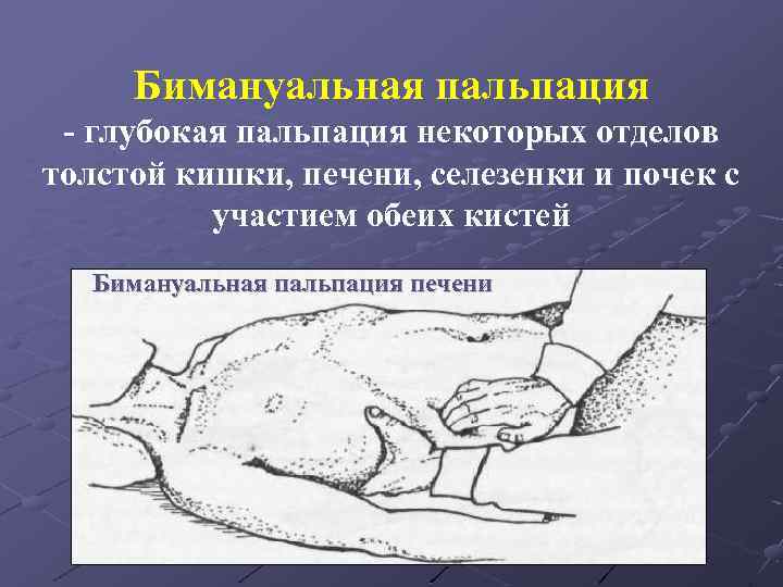 Бимануальная пальпация - глубокая пальпация некоторых отделов толстой кишки, печени, селезенки и почек с
