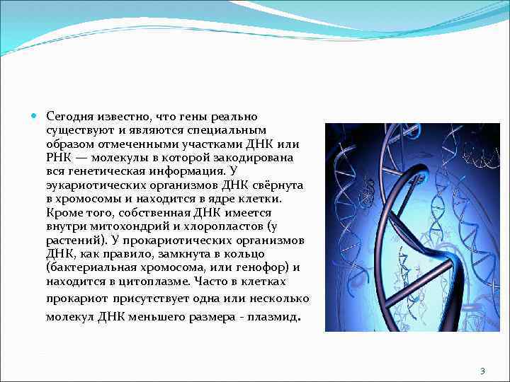  Сегодня известно, что гены реально существуют и являются специальным образом отмеченными участками ДНК