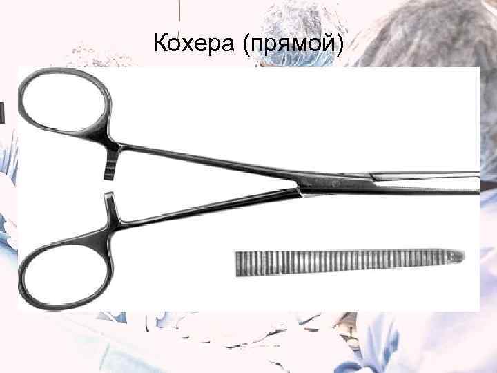 Кохера (прямой) 