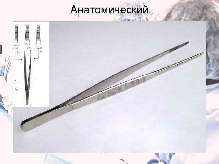 Анатомический 