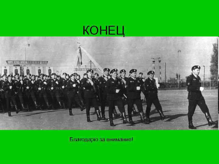 КОНЕЦ Благодарю за внимание! 