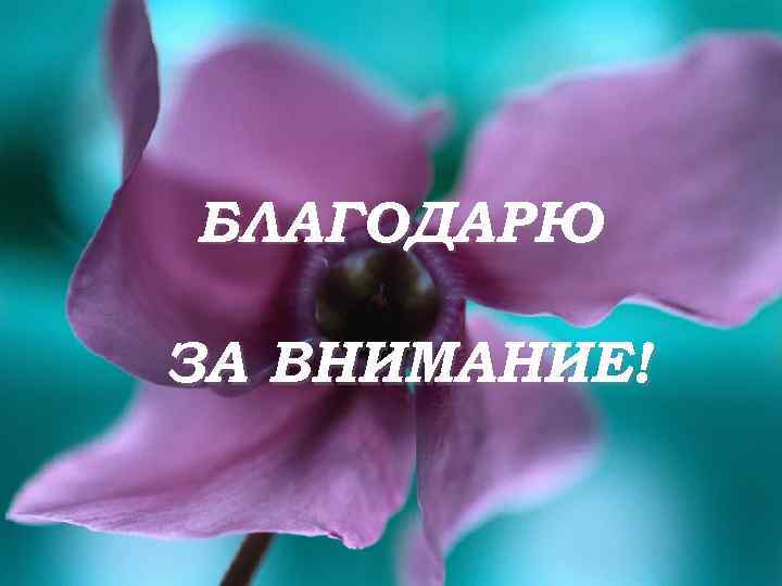 БЛАГОДАРЮ ЗА ВНИМАНИЕ! 